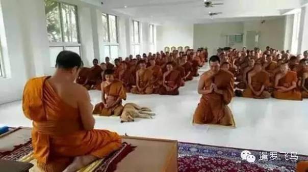 是感悟还是前世佛陀示现？流浪狗竟然追随僧侣苦行2000公里